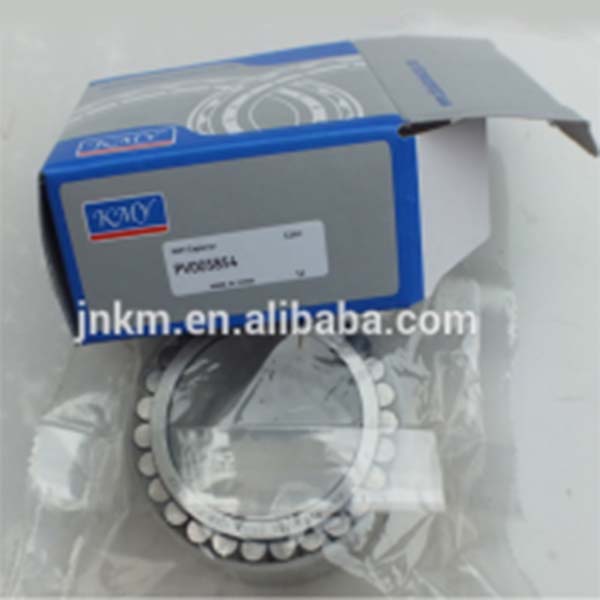 Needle roller bearing PV005854 for printing machinery