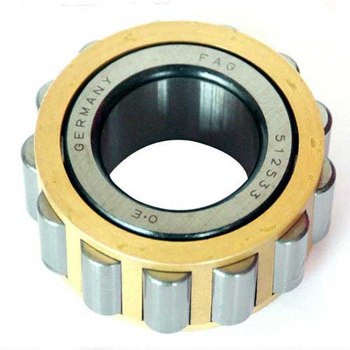 Full complement cylindrical roller bearing RSL18 2236 without out rings