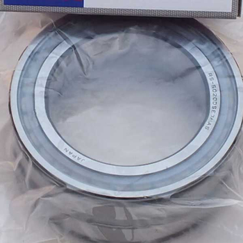 Full Complement Cylindrical Roller Bearing 5020 DS